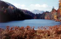 Lake's End View