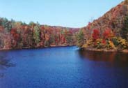 View from Queen's Lake Cottage