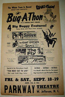 BUg a Thon