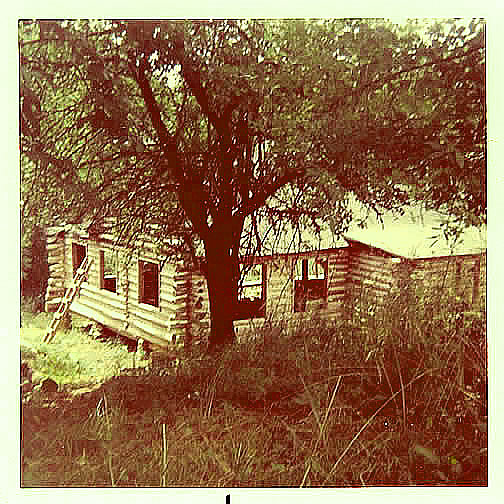 orchard_view_log_cabin