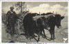 spartaoxen.gif (92898 bytes)