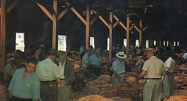Tobacco Warehouse 1