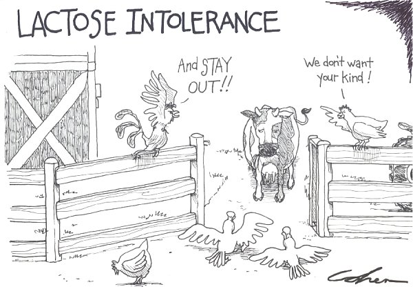 http://www.main.nc.us/cartoons/lactose-intolerance.jpg
