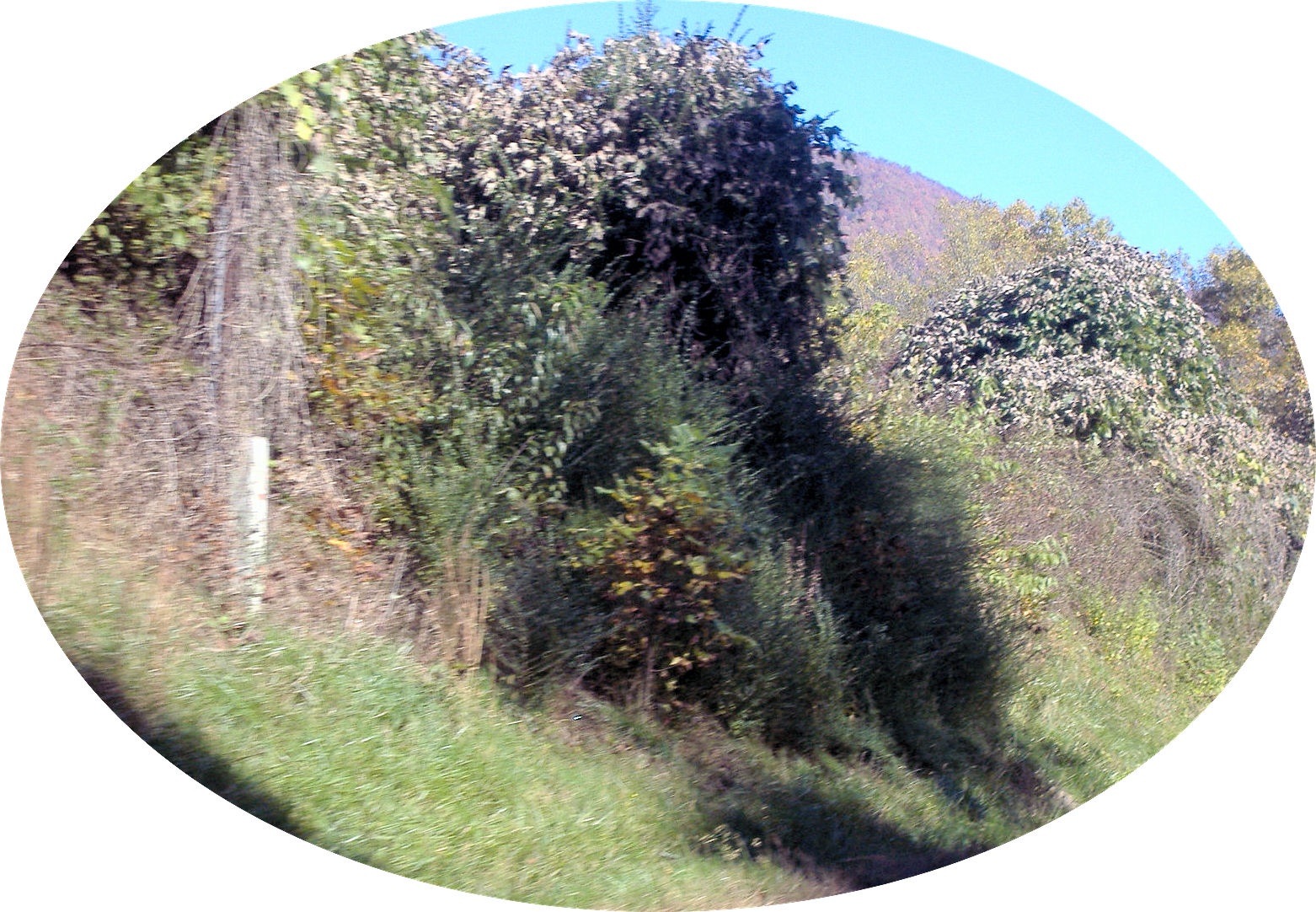 cherohala11