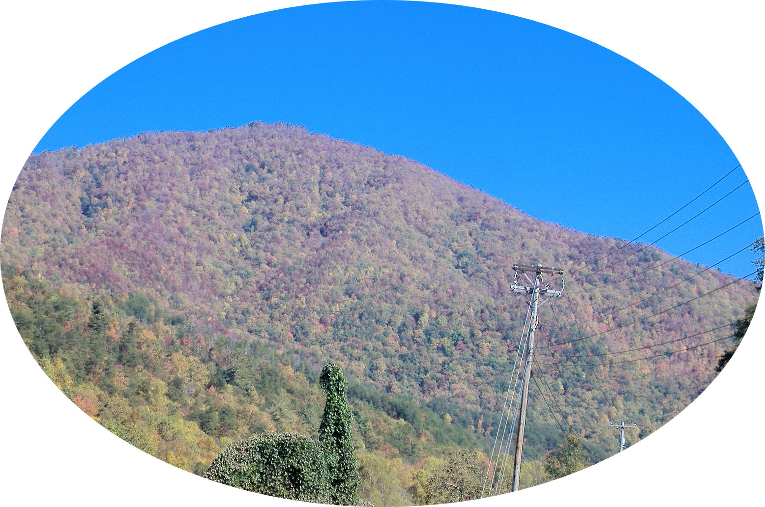 cherohala12