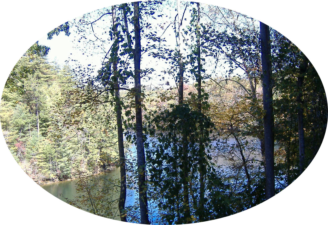 cherohala18