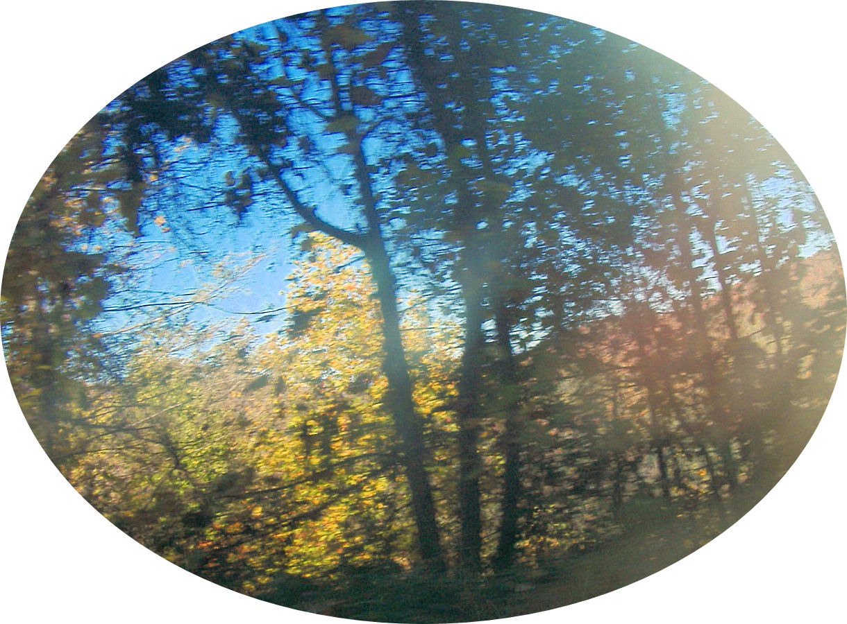 cherohala22