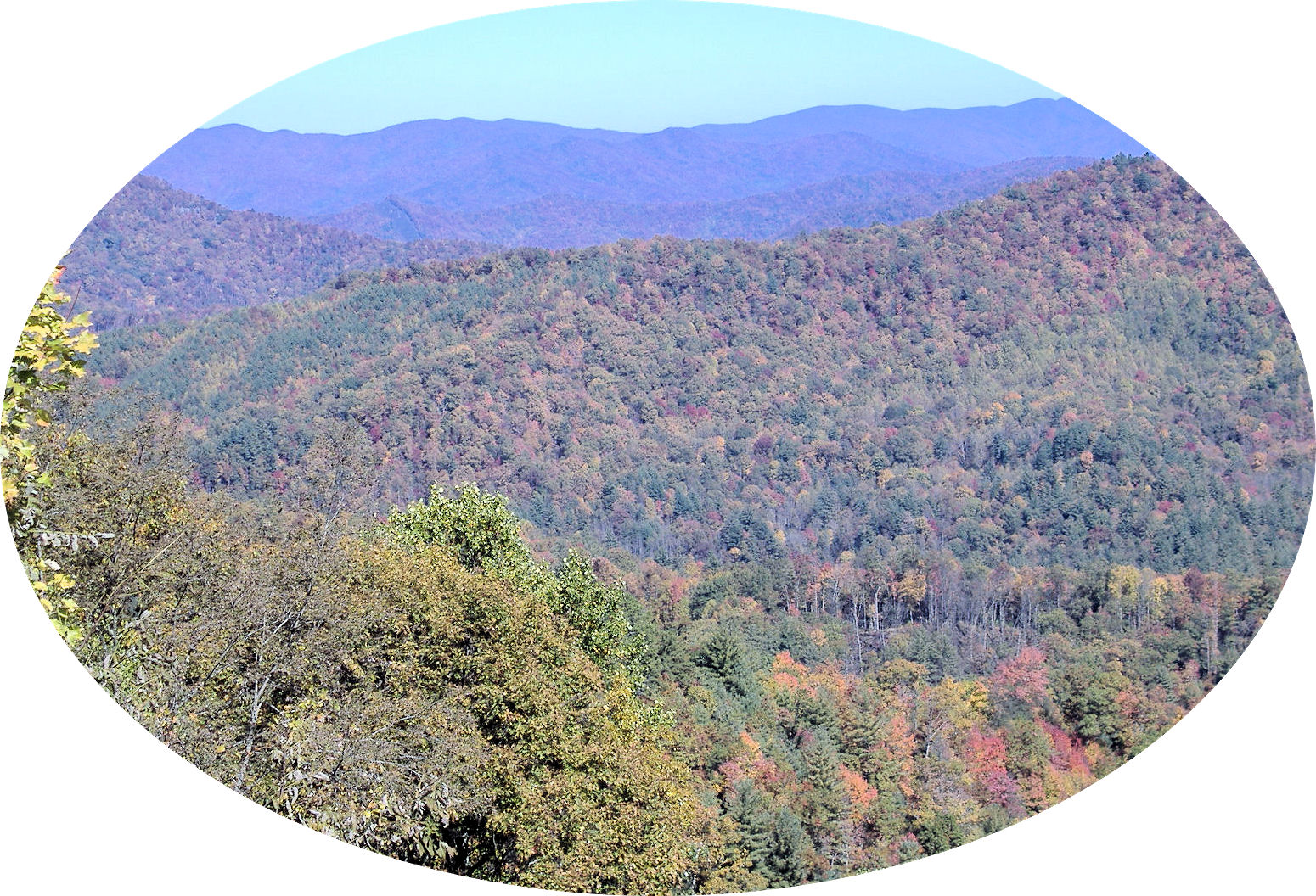 cherohala24