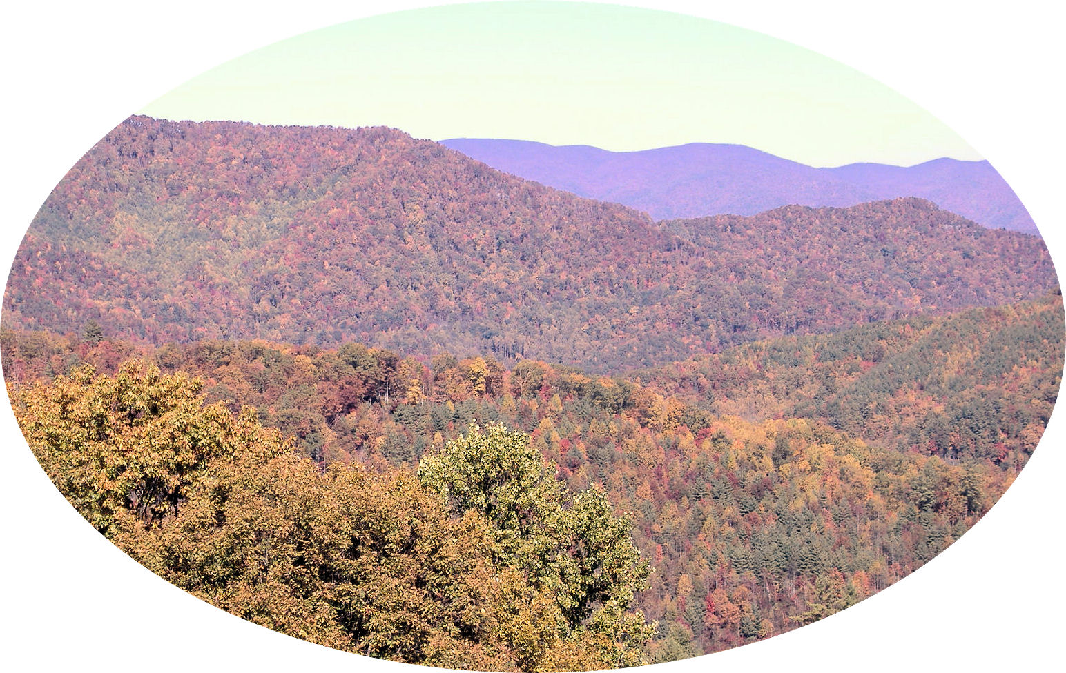 cherohala25