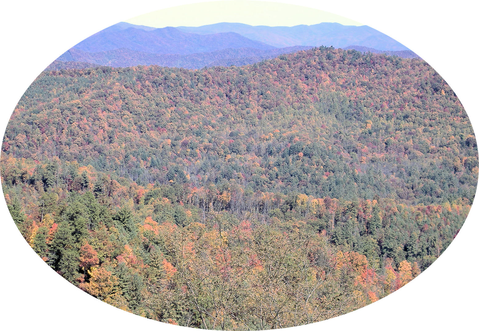 cherohala26