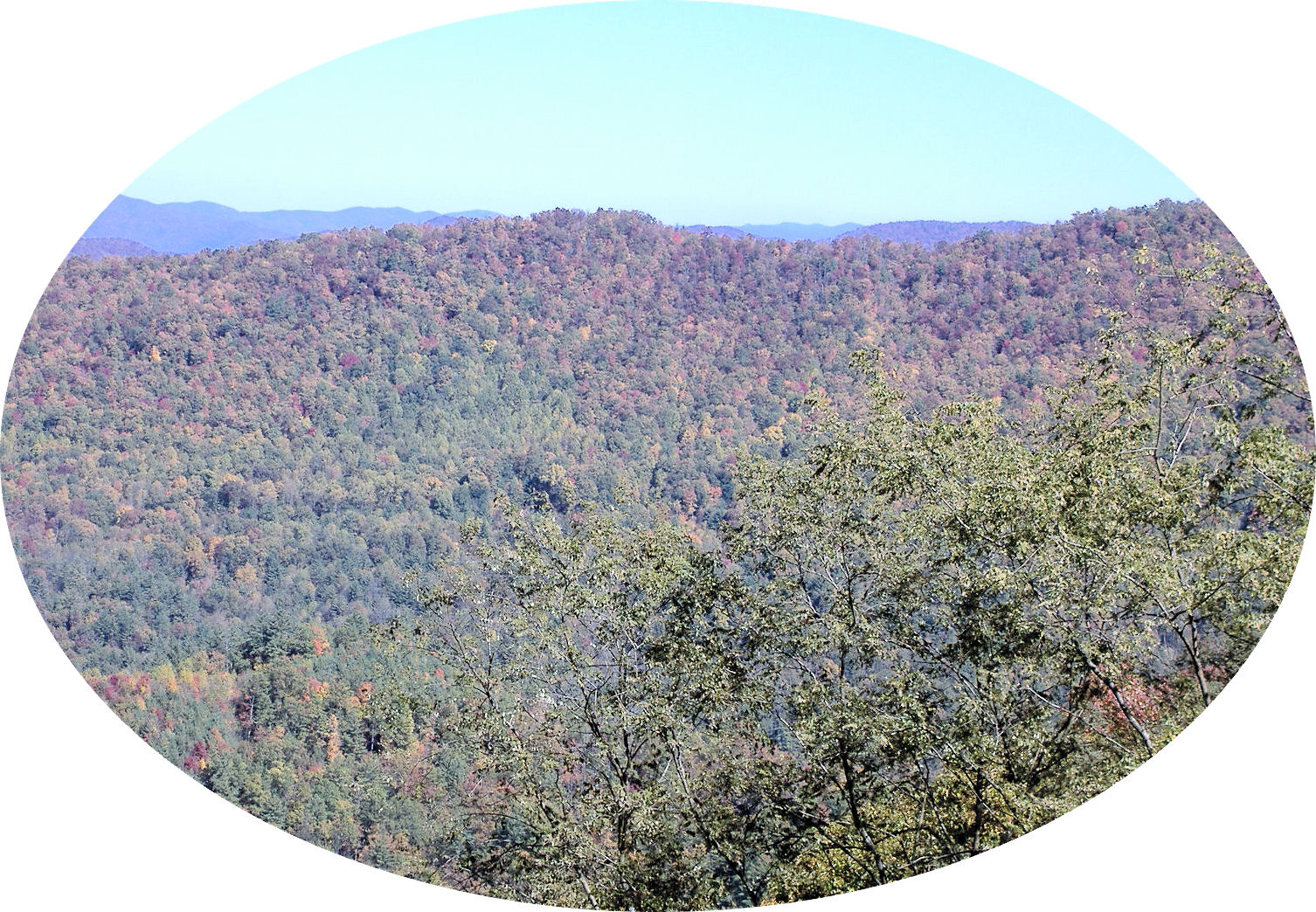 cherohala27