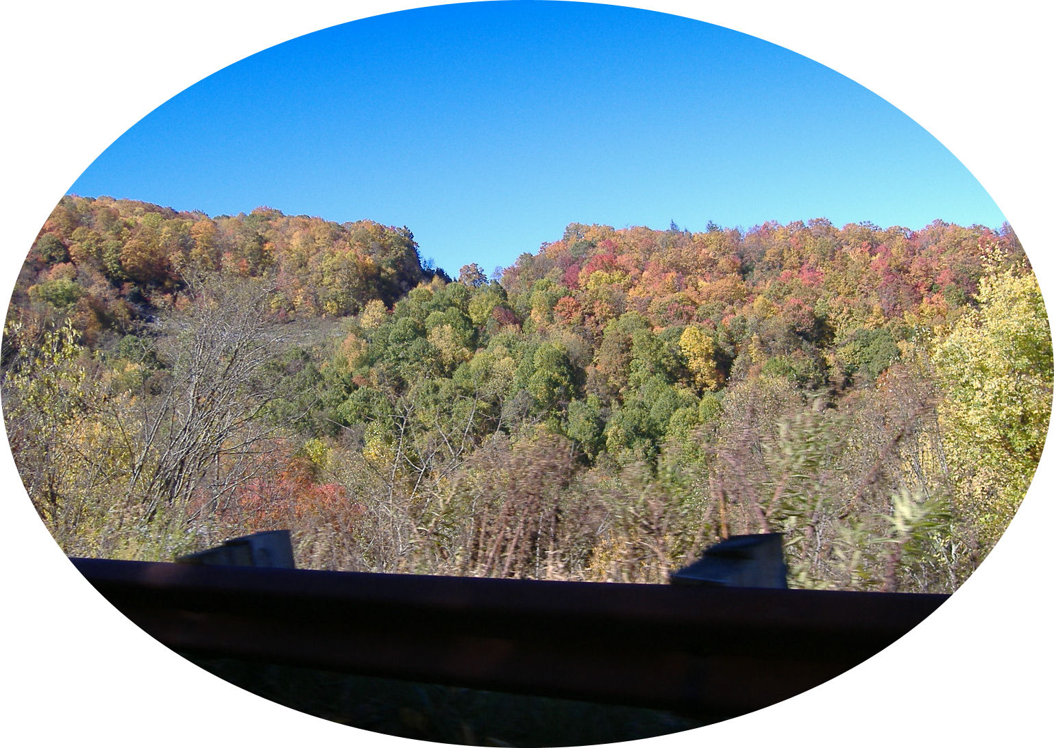 cherohala31