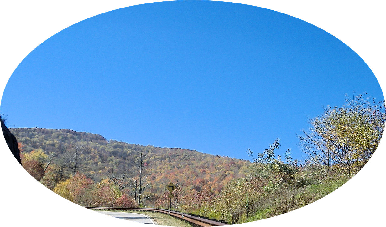 cherohala41
