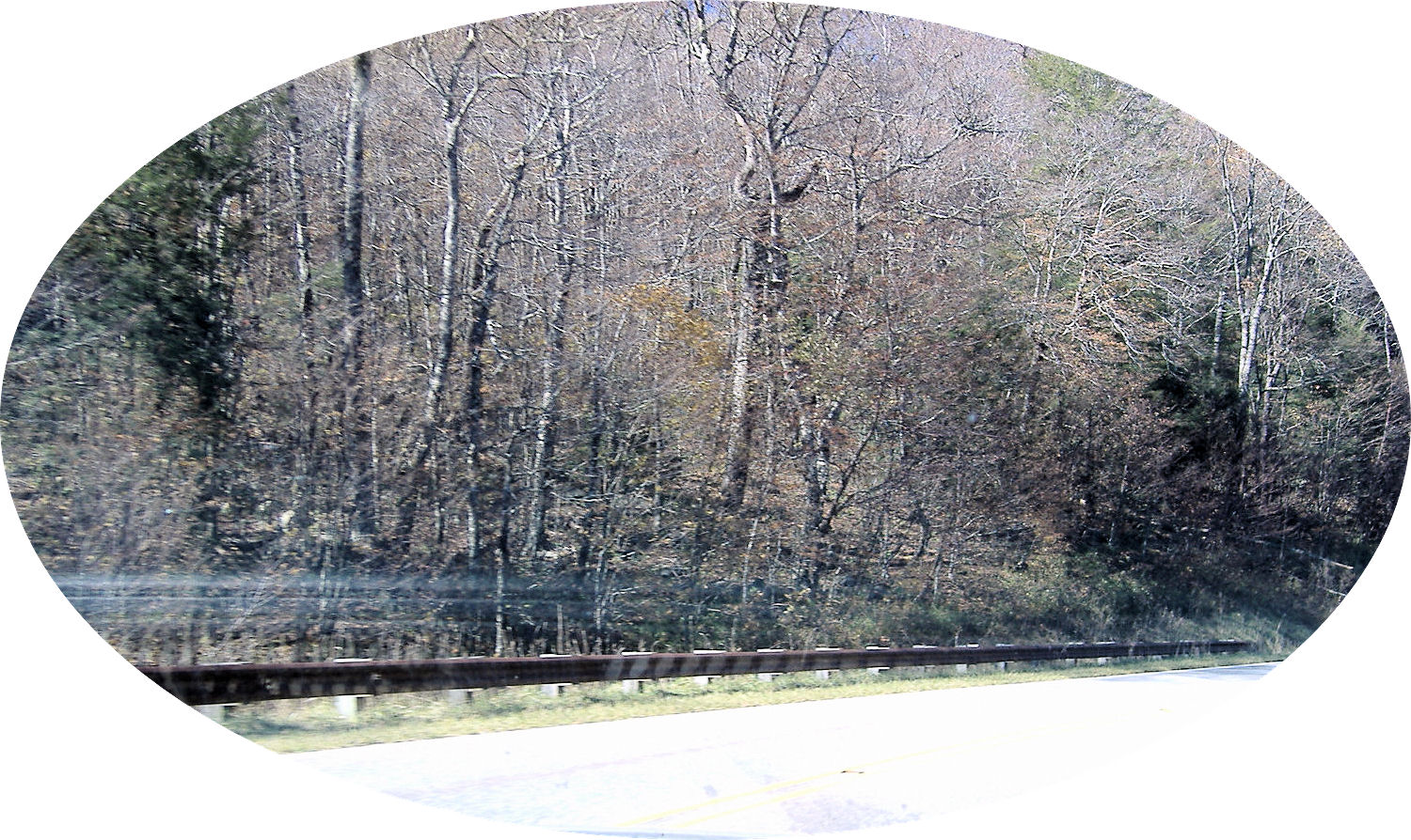 cherohala45
