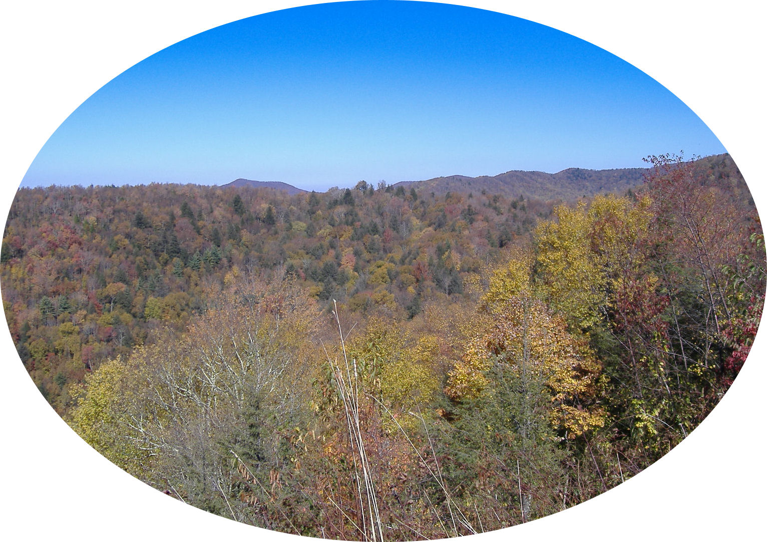 cherohala46