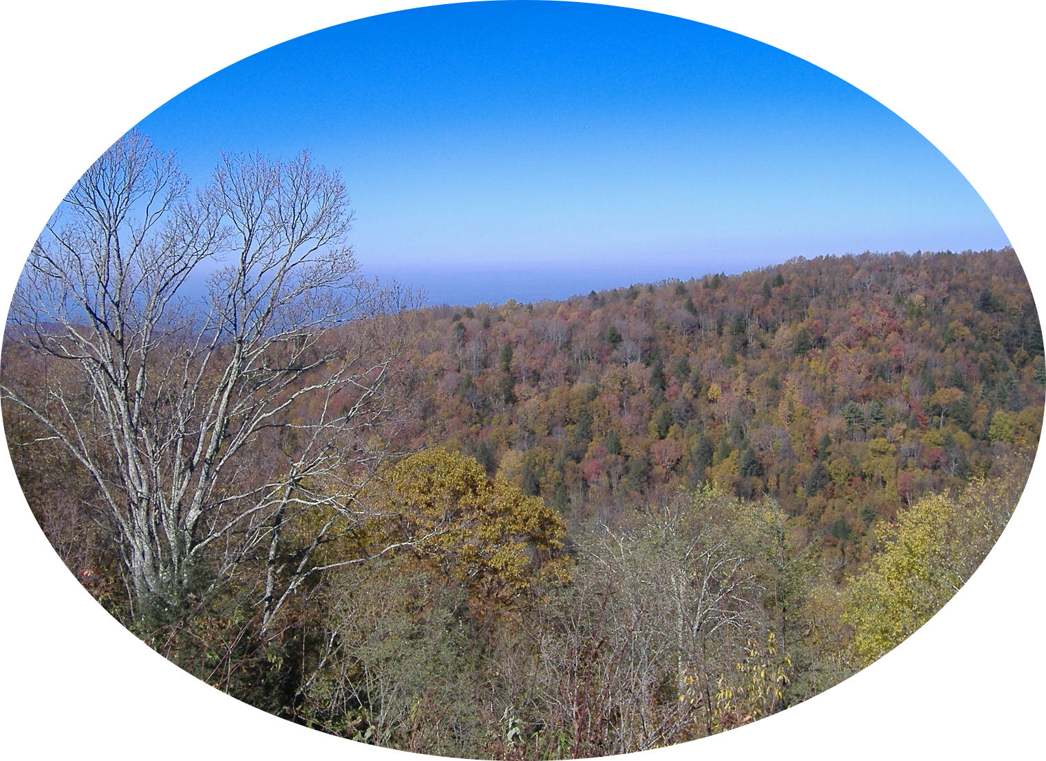 cherohala47