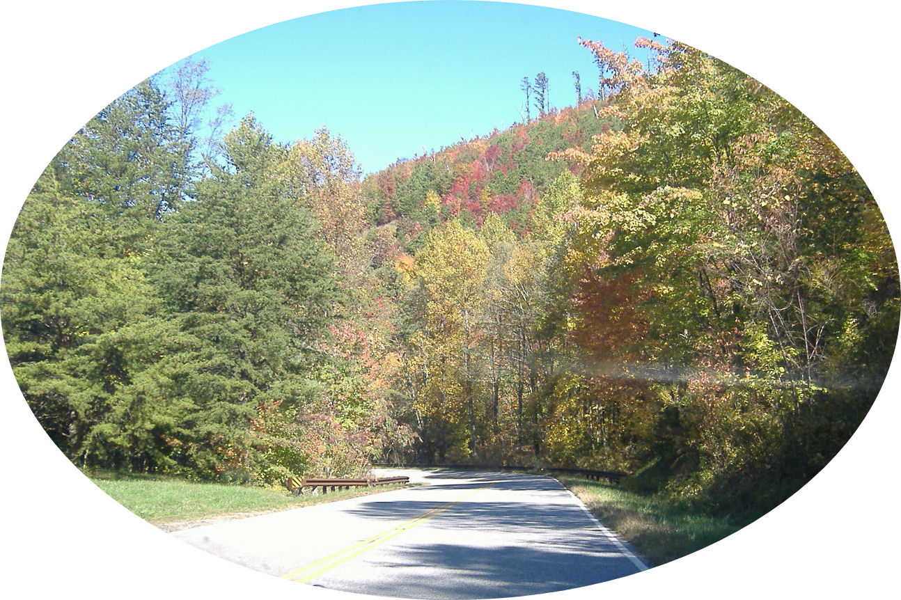 cherohala50