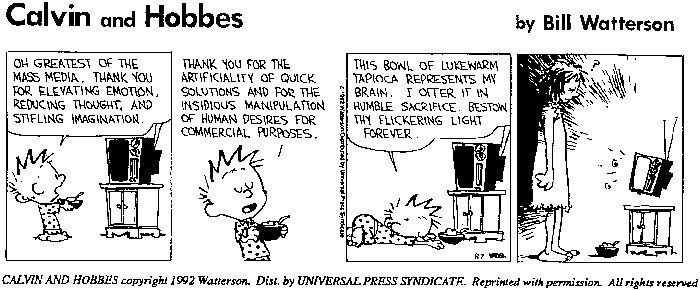 Calvin and Hobbes 
Cartoon