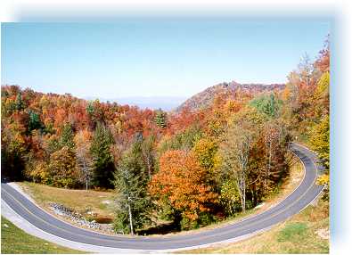 North Carolina Court Records - NC Public.