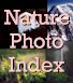 Nature Photo Index