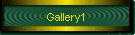 Gallery1